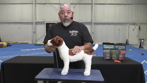 Dog training video