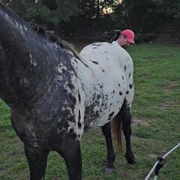 Scratch my itch! (Pt.#1)