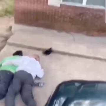 WHEN YOU BOTH NEED HELP