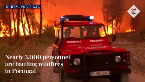 Wildfires rage in Spain, France and Portugal as heatwave sweeps across Europe