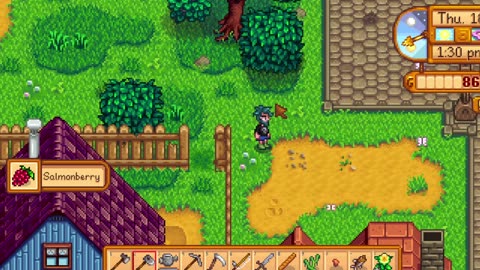 Stardew Valley