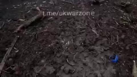 +18 Disturbing Video showing dead and wounded