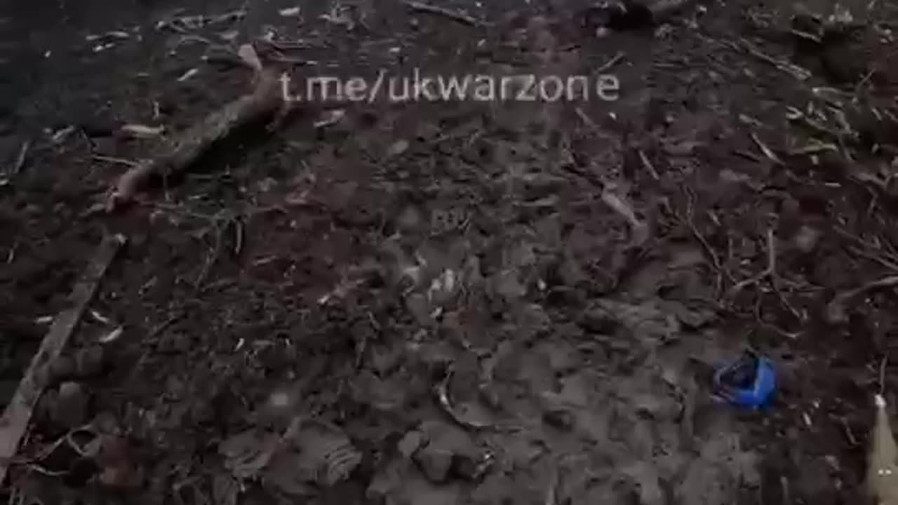 +18 Disturbing Video showing dead and wounded