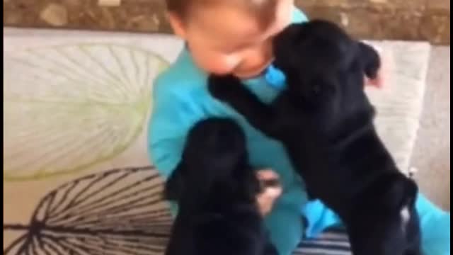 Dogs that grow up with children and their feelings