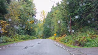 FALL COLORS IN RAIN