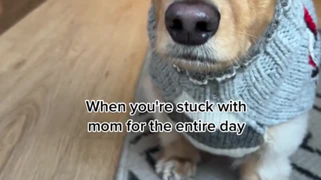 When you're stuck with mom for the entire day