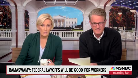 ‘MORNING JOE’: DOGE ‘IS A SCAM;