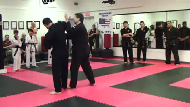 Hapkido