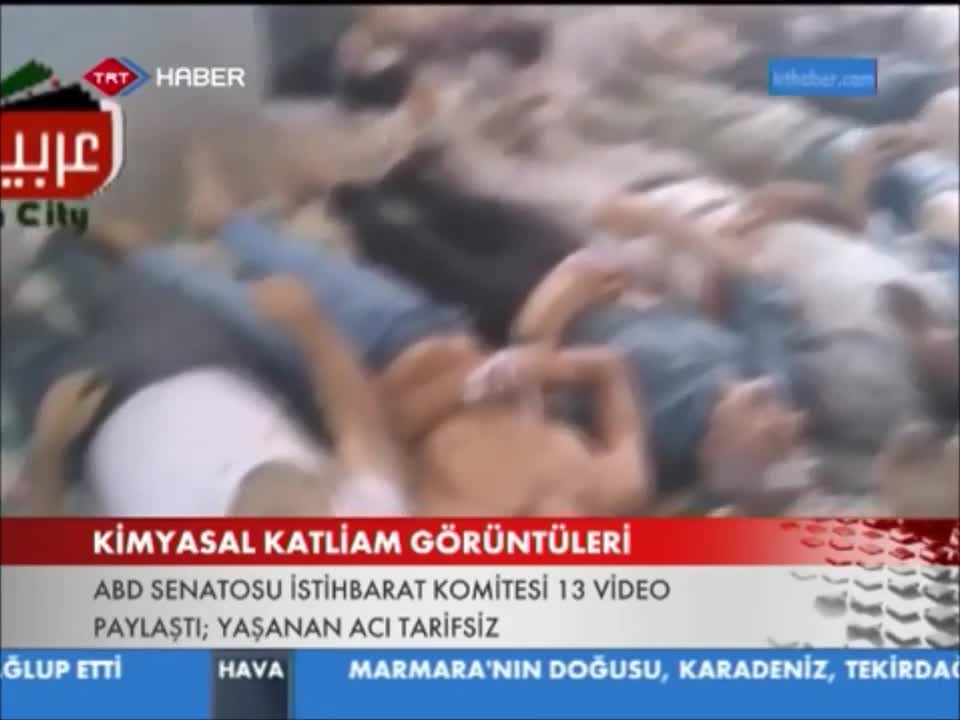 Alfa - Savaş ( Güneydoğu Projesi ) - 2014 Thug Life Türkiye Music ©