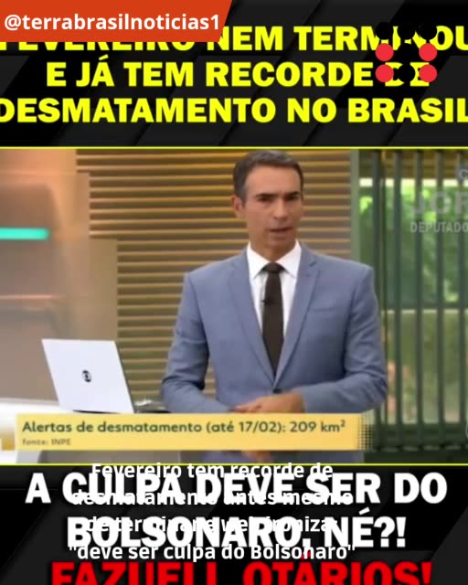 Fevereiro tem recorde de desmatamento antes mesmo de terminar e web ironiza