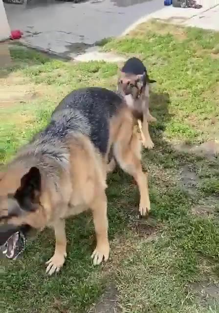 Don’t do it dad 😂