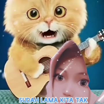 Orange Kitten Learns to Play Guitar and Sing