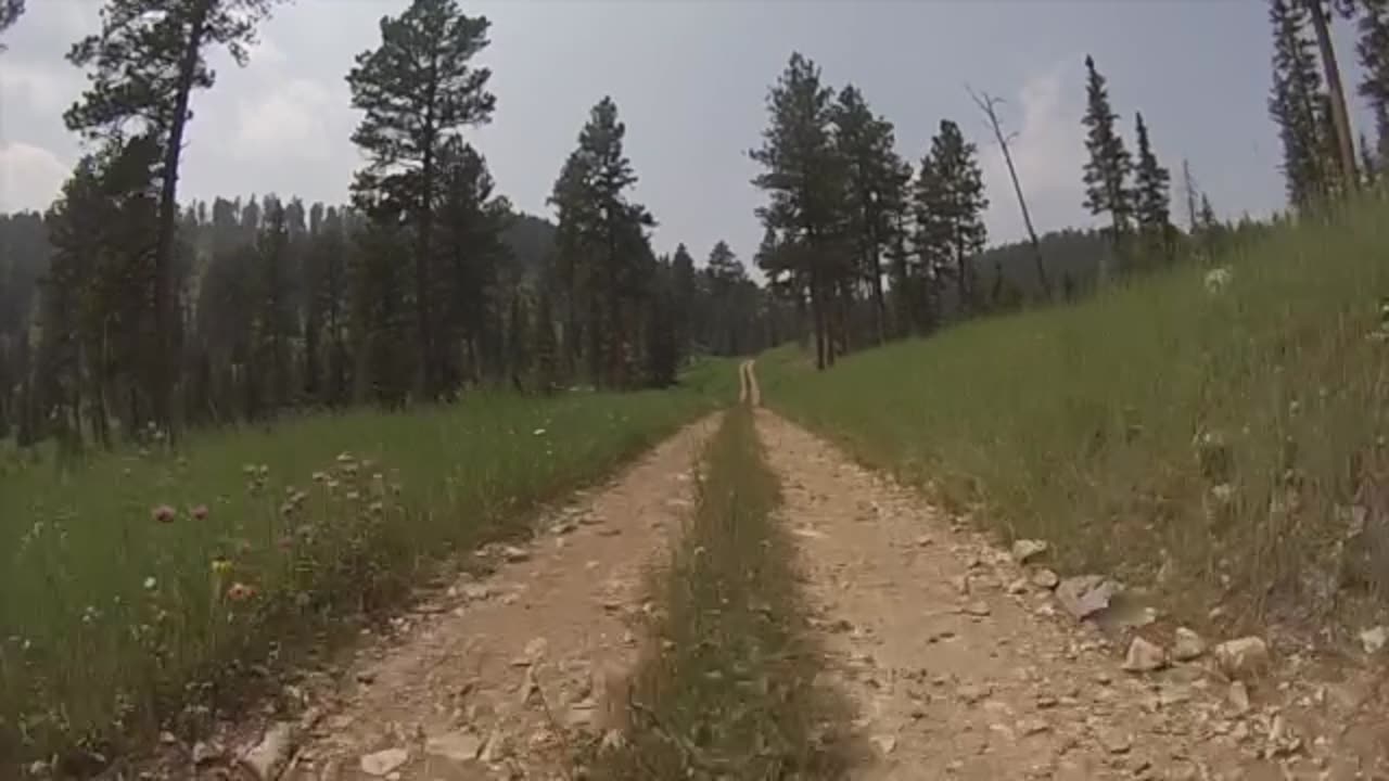 62" width restricted Trail 8100 Red Lake Trailhead Black Hills National Forest South Dakota