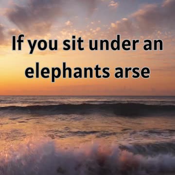 #LifeAdvice #WordsToLiveBy #Comedy #Humor #Humour