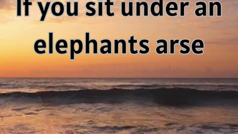 #LifeAdvice #WordsToLiveBy #Comedy #Humor #Humour