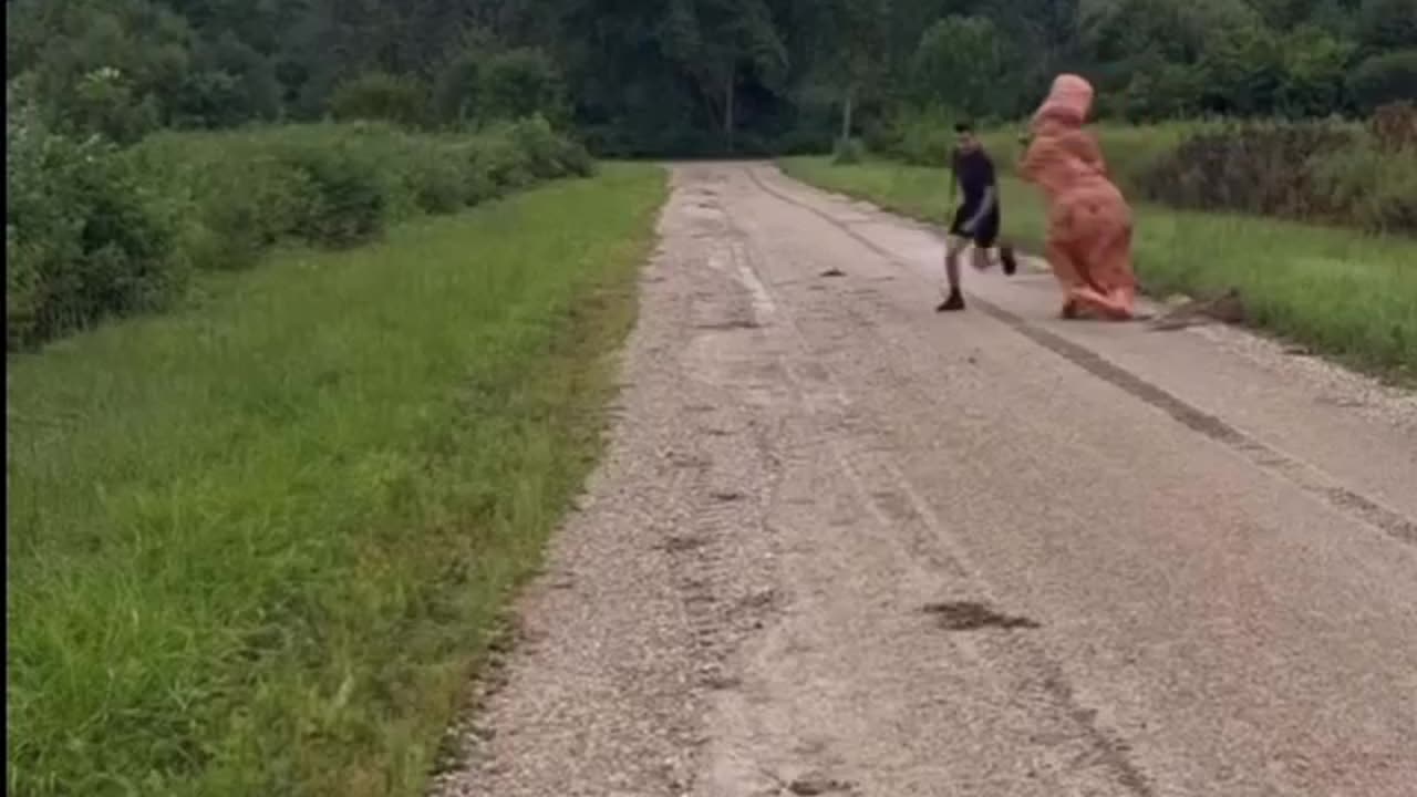 Dinosaur versus Dinosaur for a good laugh