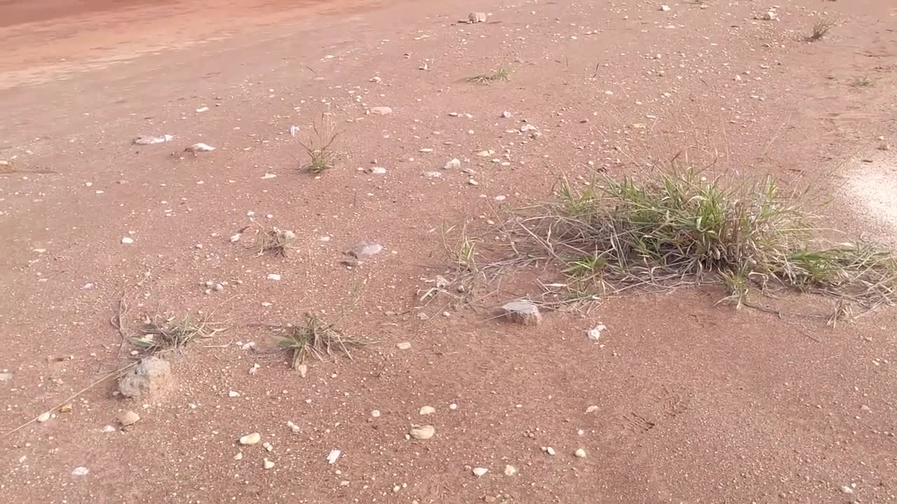 https://youtu.be/Uo9EuD_2XA4