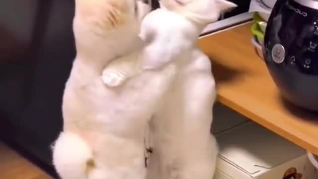 Wai..wait, what are you doing?