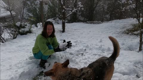Having fun with the dog