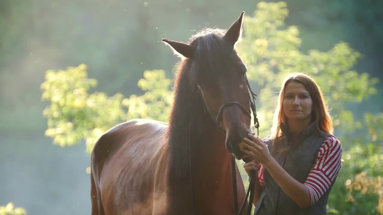 Young woman hugging and stroking a horse in the forest at dawn