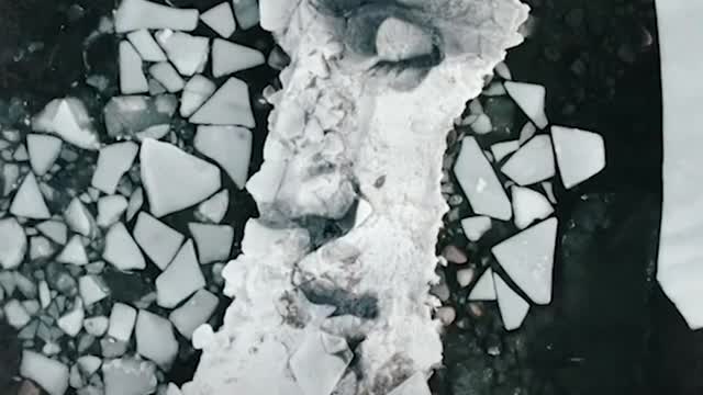 Artist paints portraits on giant floating blocks of ice