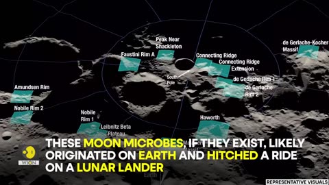 NASA scientist admits that the Moon 'might already have life on it' | WION Originals