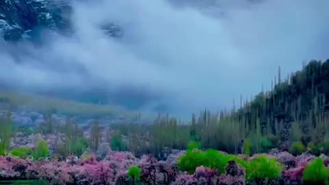 Bolosoom season in northern area of Pakistan | Pak India Border | | LOC | Pak China |