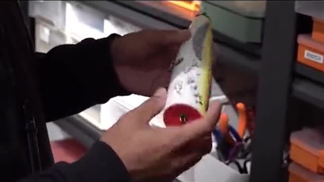 #sea #fish #shark #fisging #fisging #bigfish #bigfishenergy #fyp #foryou