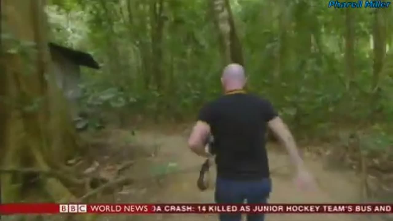 Philippines Island Treasures BBC earth doc (Full video)