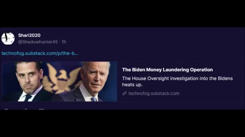 Technofog - Biden's $$ Laundering