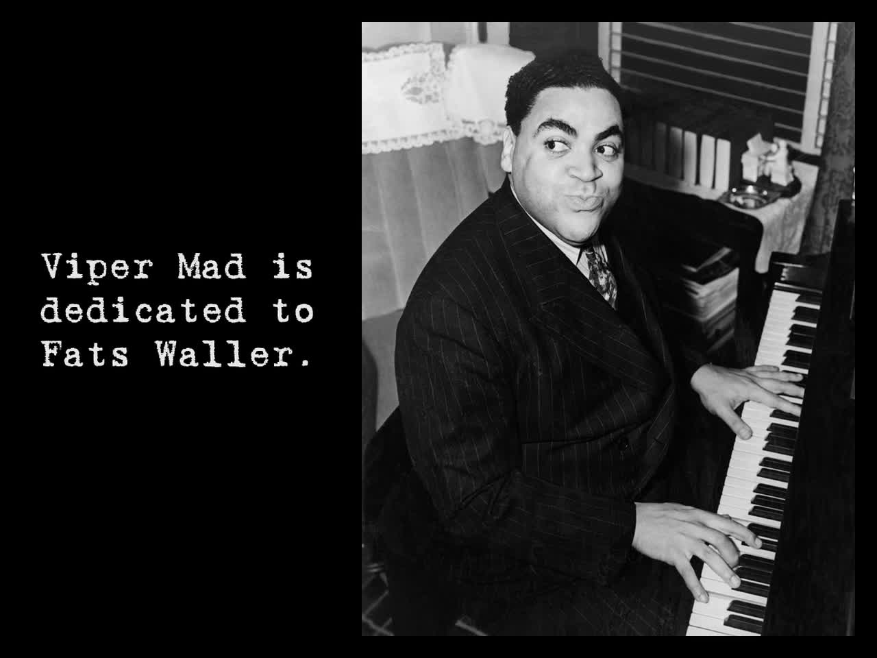 Viper Mad - A Short Documentary About Marijuana & Musicians