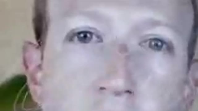 Leaked Zuckerburg Jab Denier (caution to employees)