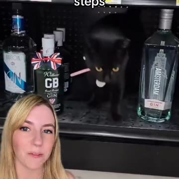 [2023-08-15] Oklahoma City now has two employed rescue cats, ...