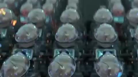 the matrix is coming.... #ToreSays