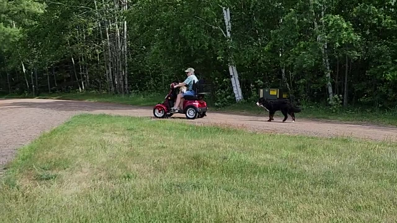 My Scooter & my co-pilot.