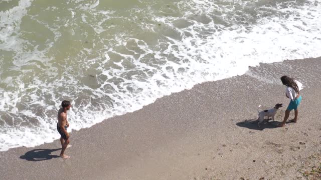 Summer beach sea ocean