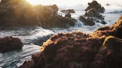 Relaxing Music | Sleeping, Meditation, Stress Relief | [5986] ⭐️