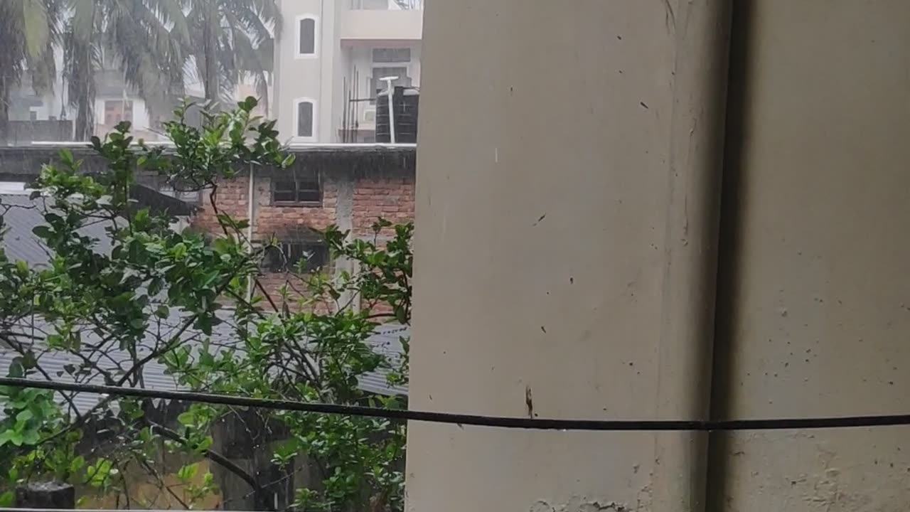 Rain