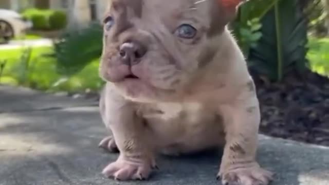 Funny but sooo cute