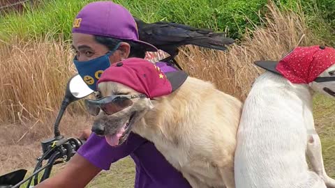 Pack of Cool Pets Ride Moped