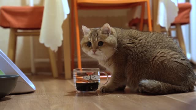 Drink water - it is useful!