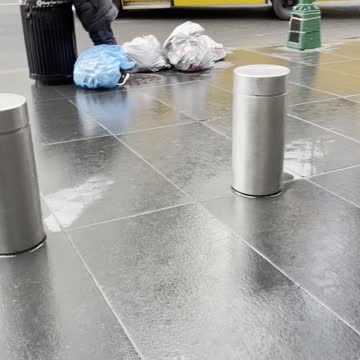 sh!thole nyc dumpster diving