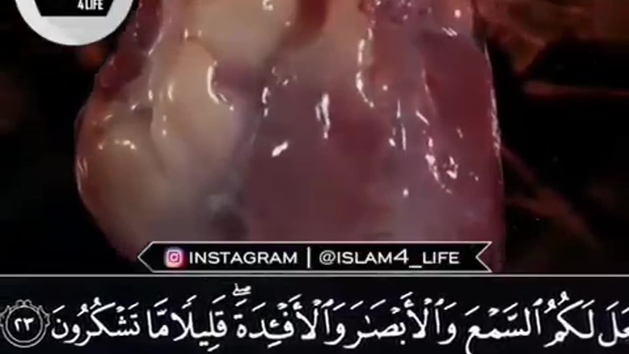 Quran #quran #quranrecitation #islam #ayat #deen #englishsubtitle