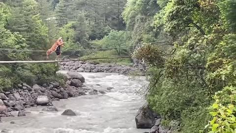 UK wildlife photographer to run Everest marathon in TIGER suit after gruelling ten-day trek