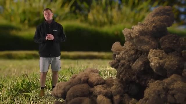 How to Manage Earthworm Castings_Cut