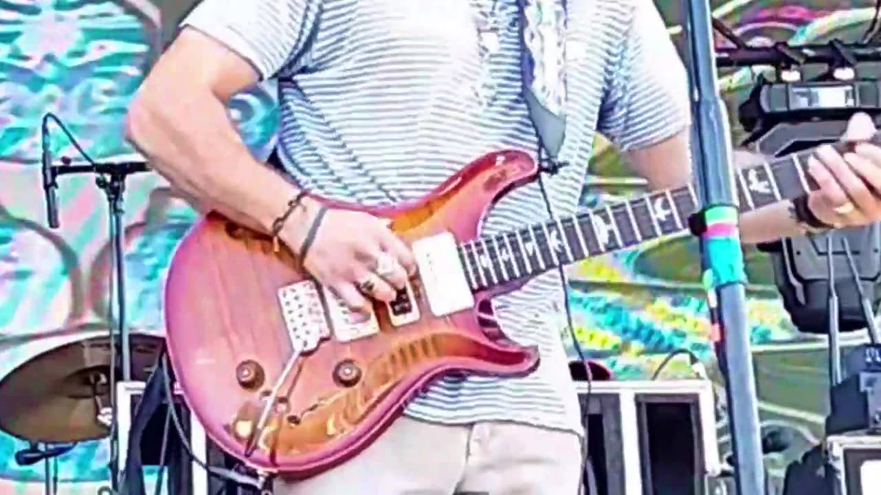 Jimmy Law (Dogs in a Pile) - LIVE @ Avondale (Short 7)