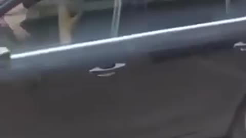 Quando fai il rivoltoso e passano a prenderti in auto blu..