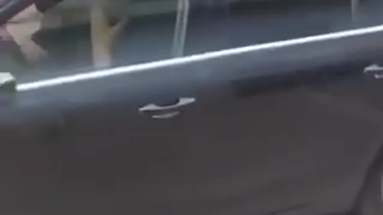 Quando fai il rivoltoso e passano a prenderti in auto blu..
