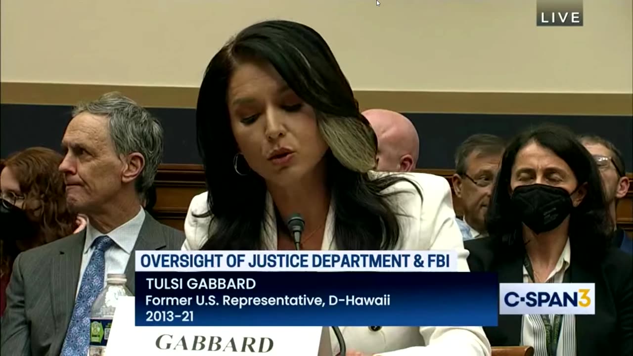 MASTERPIECE SPEECH! TULSI GABBARD ON WEAPONIZATION OF GOVERNMENT