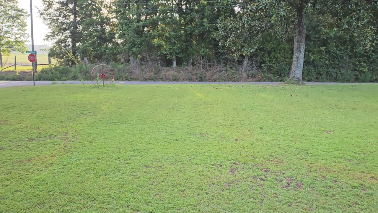 GSG Porch Report 040723